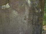 image of grave number 904511